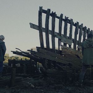 Foto Oreina (Ciervo)