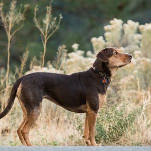 Foto Uno más de la familia