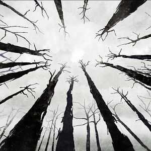 Foto Chris The Swiss