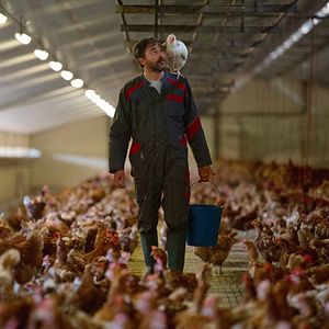 Foto Guillaume De Tonquédec