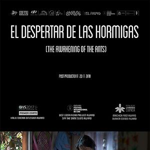 Foto El Despertar de las Hormigas