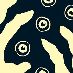 Foto No creas que voy a gritar