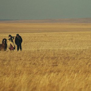 Foto El huevo del dinosaurio