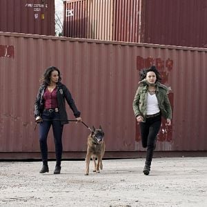 Foto MacGyver (2016)