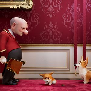 Foto Corgi, las mascotas de la reina