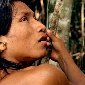 Foto El canto de la selva