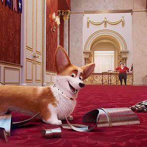 Foto Corgi, las mascotas de la reina