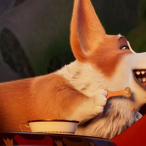 Foto Corgi, las mascotas de la reina