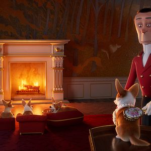 Foto Corgi, las mascotas de la reina