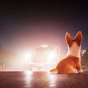 Foto Corgi, las mascotas de la reina