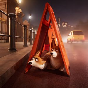 Foto Corgi, las mascotas de la reina