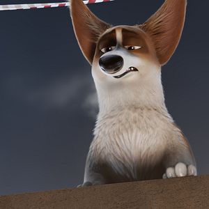 Foto Corgi, las mascotas de la reina