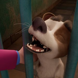 Foto Corgi, las mascotas de la reina