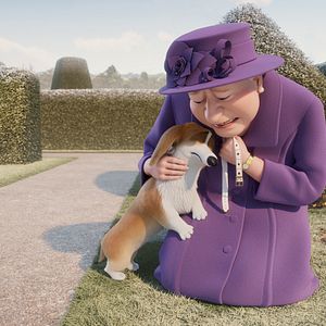 Foto Corgi, las mascotas de la reina