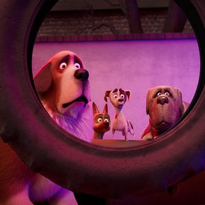 Foto Corgi, las mascotas de la reina