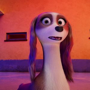 Foto Corgi, las mascotas de la reina