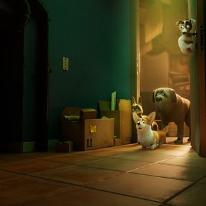 Foto Corgi, las mascotas de la reina