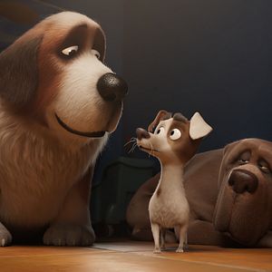 Foto Corgi, las mascotas de la reina