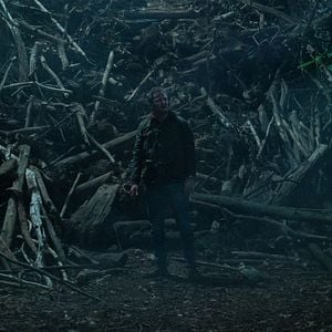 Foto Cementerio de animales