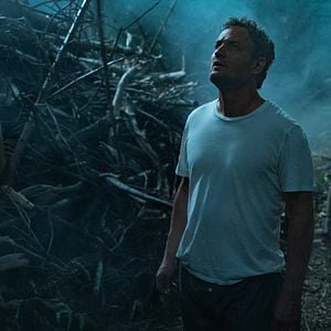 Foto Cementerio de animales