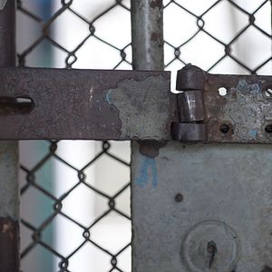 Foto Los subversivos