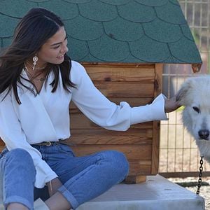 Foto Erkenci Kus (Pájaro soñador)