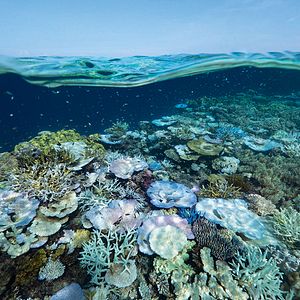 Foto Nuestro planeta