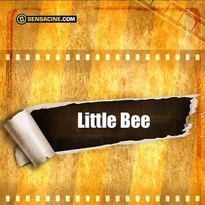 Foto Little Bee