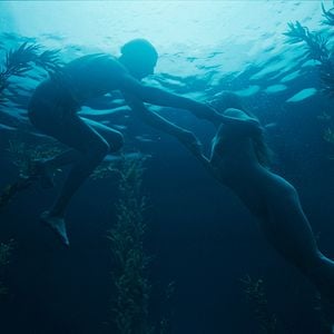 Foto Los perros no llevan pantalones