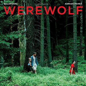 Foto Perros de presa