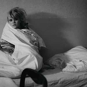 Foto Hana Brejchová