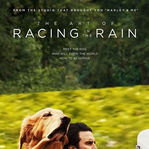 Foto El arte de vivir bajo la lluvia