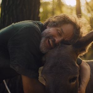 Foto Butz Ulrich Buse