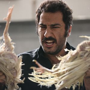 Foto Navid Mohammadzadeh