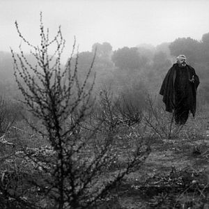 Foto La mirada de Orson Welles