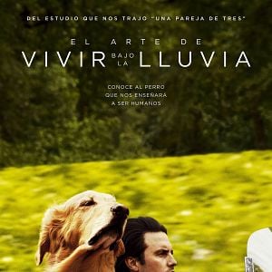 Foto El arte de vivir bajo la lluvia