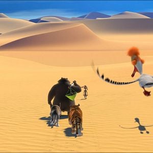 Foto Operación Panda