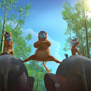 Foto Operación Panda