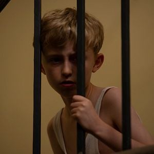 Foto El secreto de las abejas