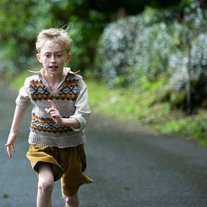 Foto El secreto de las abejas