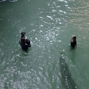 Foto Infierno bajo el agua