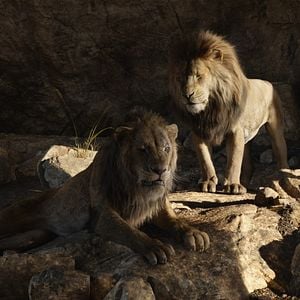 Foto El Rey León