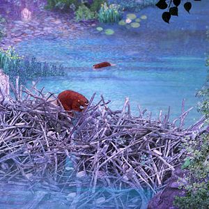 Foto Bonjour le Monde!