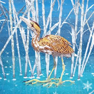 Foto Bonjour le Monde!