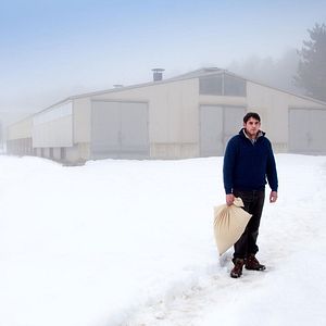 Foto Solo las bestias