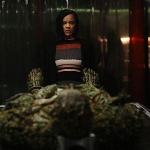 Foto Swamp Thing (La cosa del pantano)