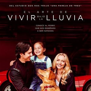 Foto El arte de vivir bajo la lluvia