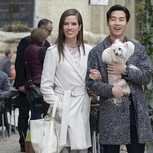 Foto Tu mejor amigo: Un nuevo viaje