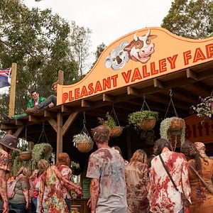 Foto Little Monsters