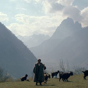 Foto Arben Bajraktaraj